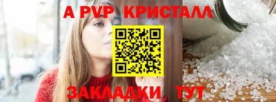 спиды Кингисепп