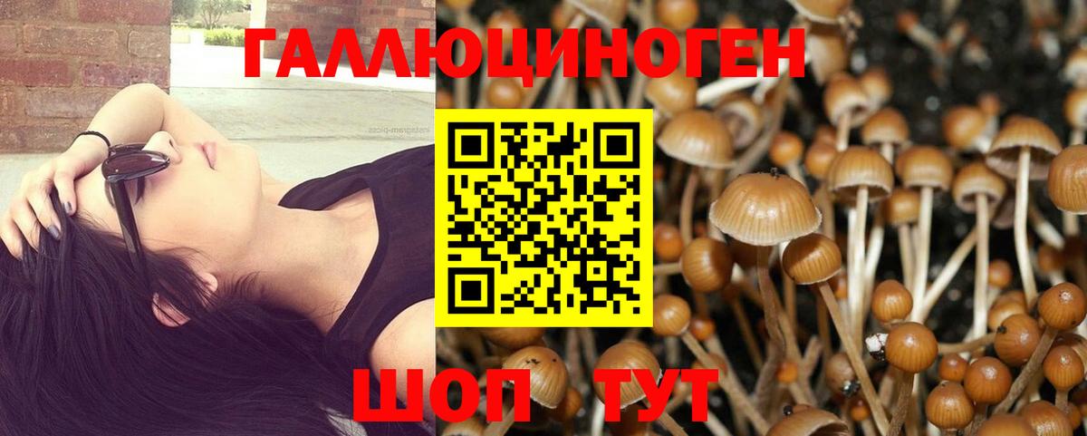Псилоцибиновые грибы Psilocybine cubensis Качканар